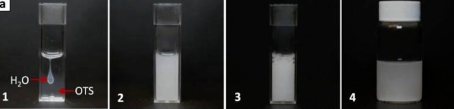 ΢Žͼ_20250526103543.png