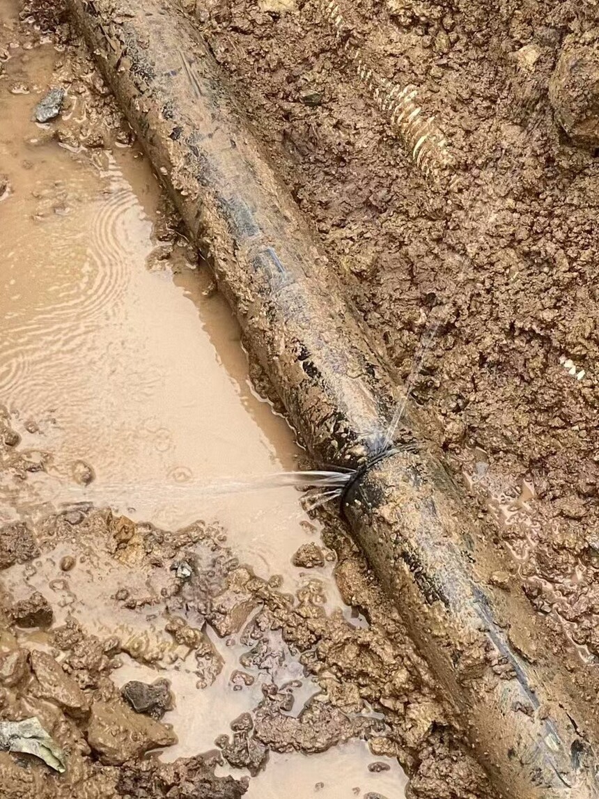 1731119555387111.jpg 1731119555387111.jpg