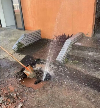 1737443351939783.png 重庆查漏3-金耳朵.png