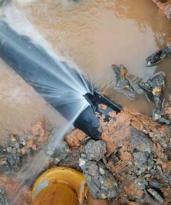 1739332504207156.png 重庆查漏2-金耳朵.png