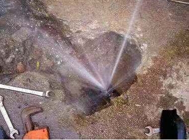 1754884457358806.png 重庆查漏东哥6.png