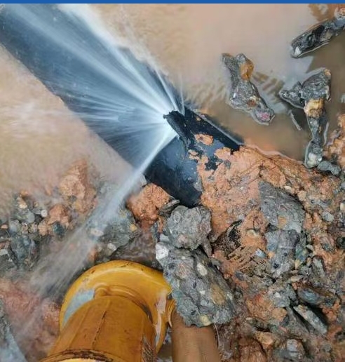 1757314159346133.png 重庆查漏金耳朵3.png