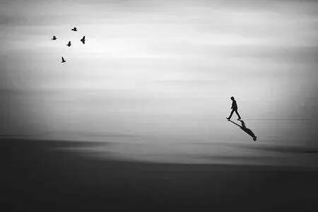 1766191103553797.jpg 2.jpg