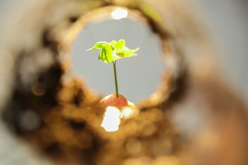 1766191127106199.jpg 4.jpg