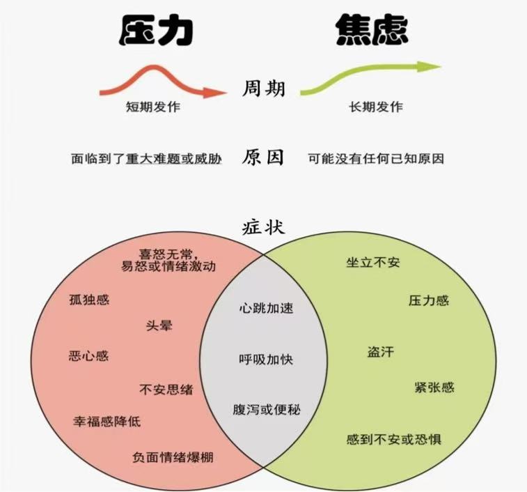 1766736633268596.jpg 740540c38668d88e4c7893a696a2c62a.jpg