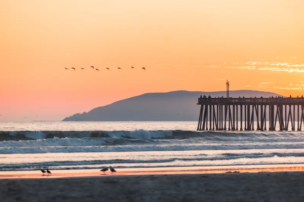 1768108305234261.png fef9e98e457f956b9c14aafb470ee4a0.png