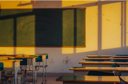 1768731932653279.png d14a535f49f7fba45d0fcd0be91d766f.png