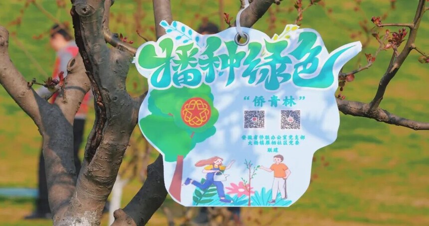 1773651104693267.jpg 3.jpg