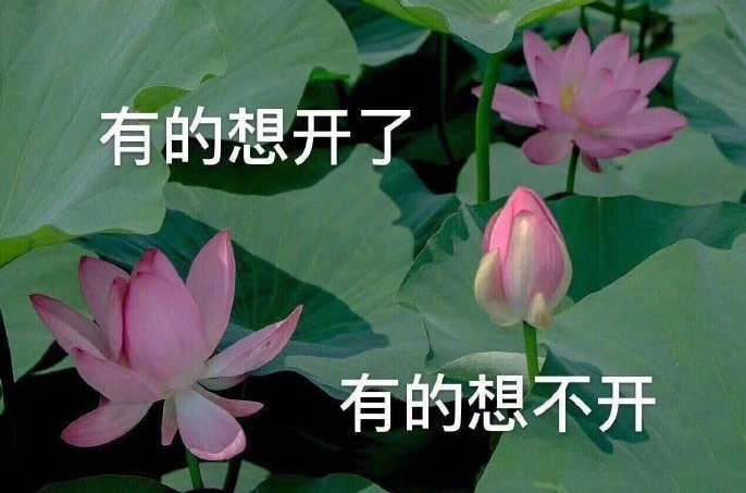 1780454956290053.png 2.png