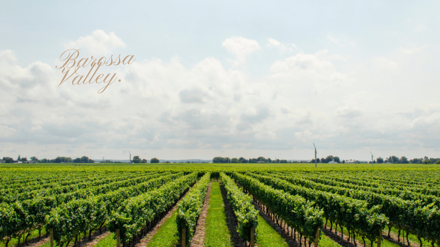 ڶƪͼBarossa Valley.png