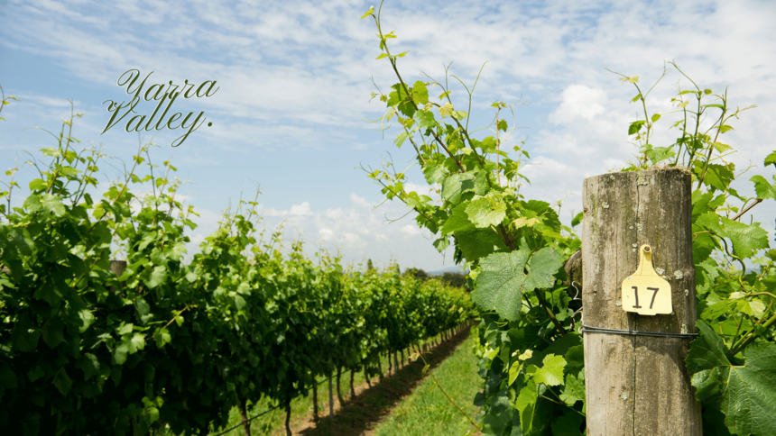 ƪͼYarra Valley.png