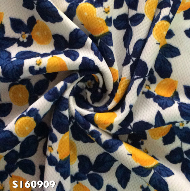 SI60909.jpg