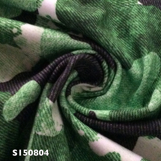 SI50804.jpg