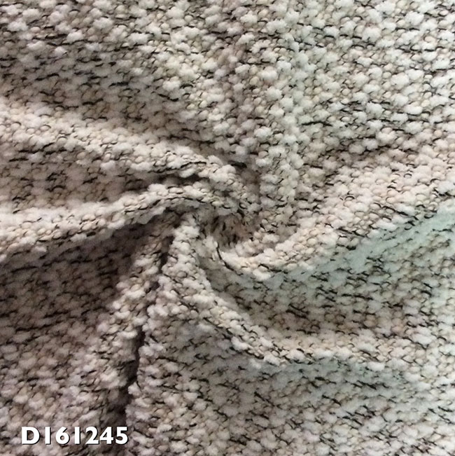 DI61245.jpg