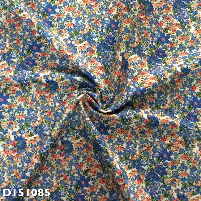 DI51085.jpg
