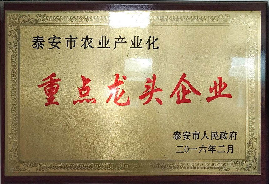 ΢ňDƬ_20241204115623.jpg