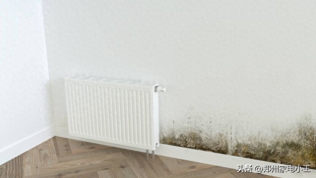 e96f514fd64048019c775c1b3be5bb65~tplv-tt-origin-web_gif.jpeg