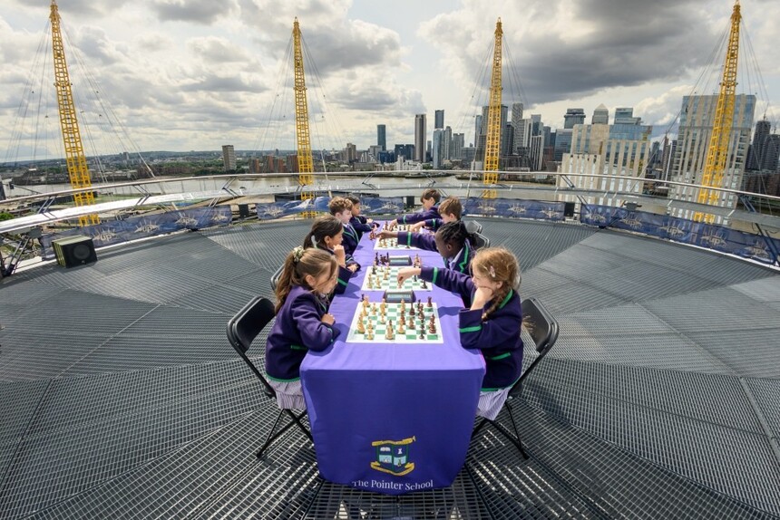 1749631555200361.jpg Pointer-PAGE.jpg