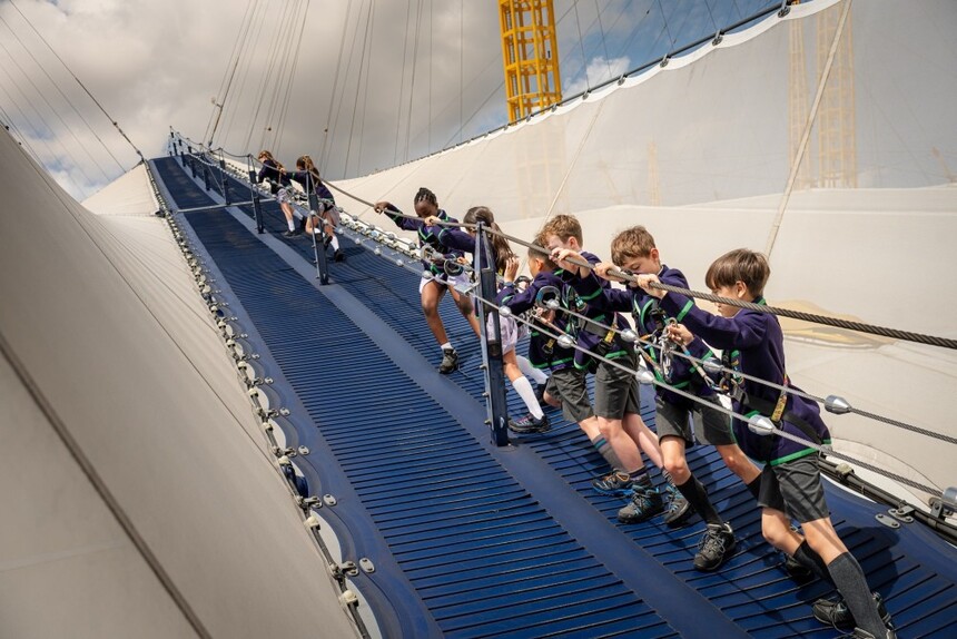 1749631593234870.jpg Pointer-Climb.jpg