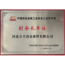 中國有色金屬工業(yè)協(xié)會工業(yè)爐分會副會長