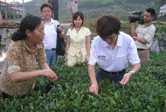 1734667606339482.png o4.png