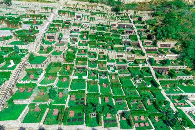 ỷ (39).jpg