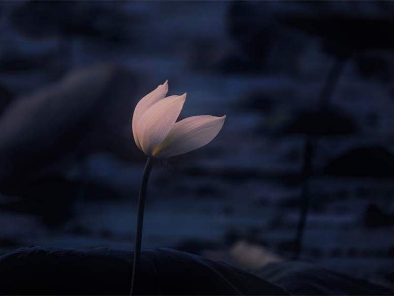 ������� (4).jpg