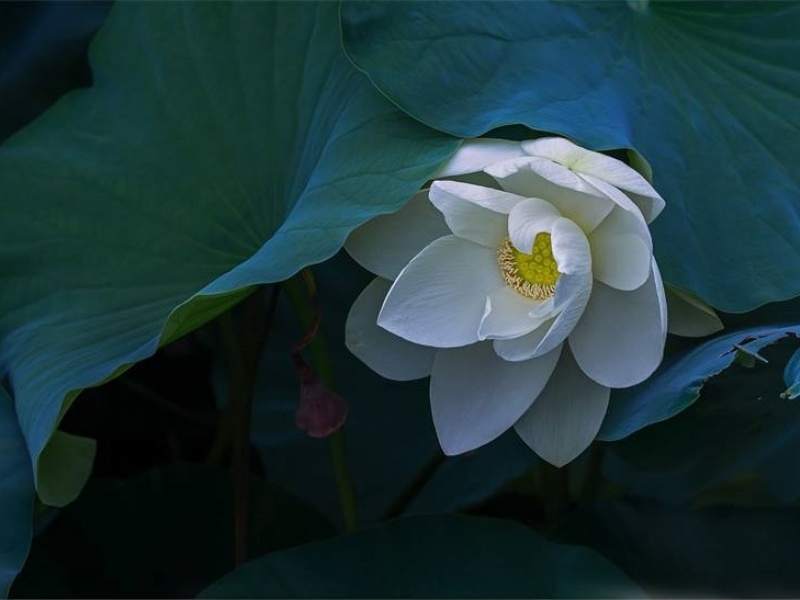 ������� (19).jpg