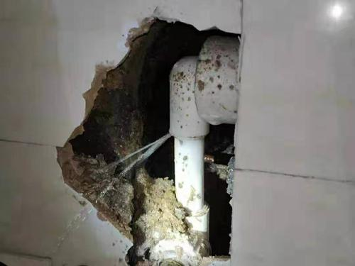 1735638478151804.jpg 1735638474200.jpg