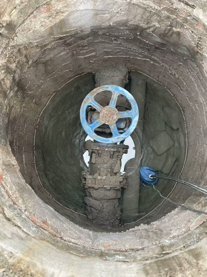 1735787446105072.jpg 1735787441747.jpg