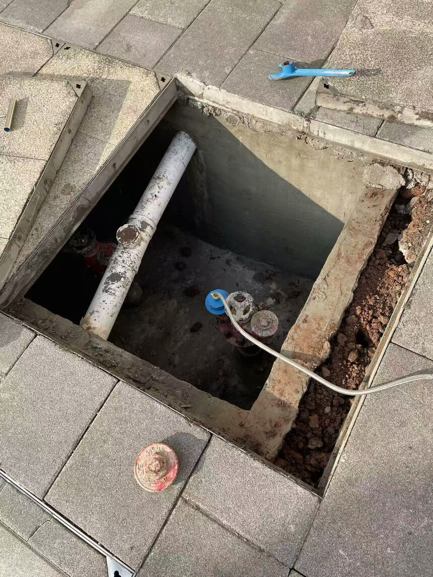 1735787605248152.jpg 1735787597917.jpg