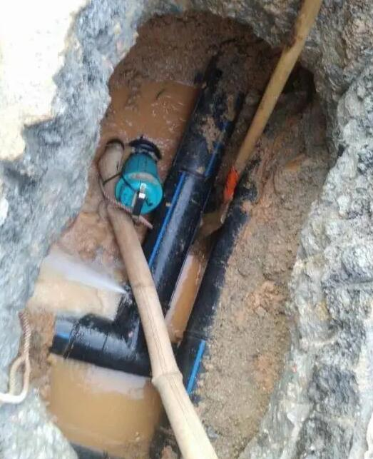 1735788031924492.jpg 1735788028024.jpg