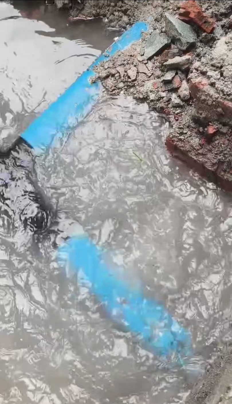 1735799330397202.jpg