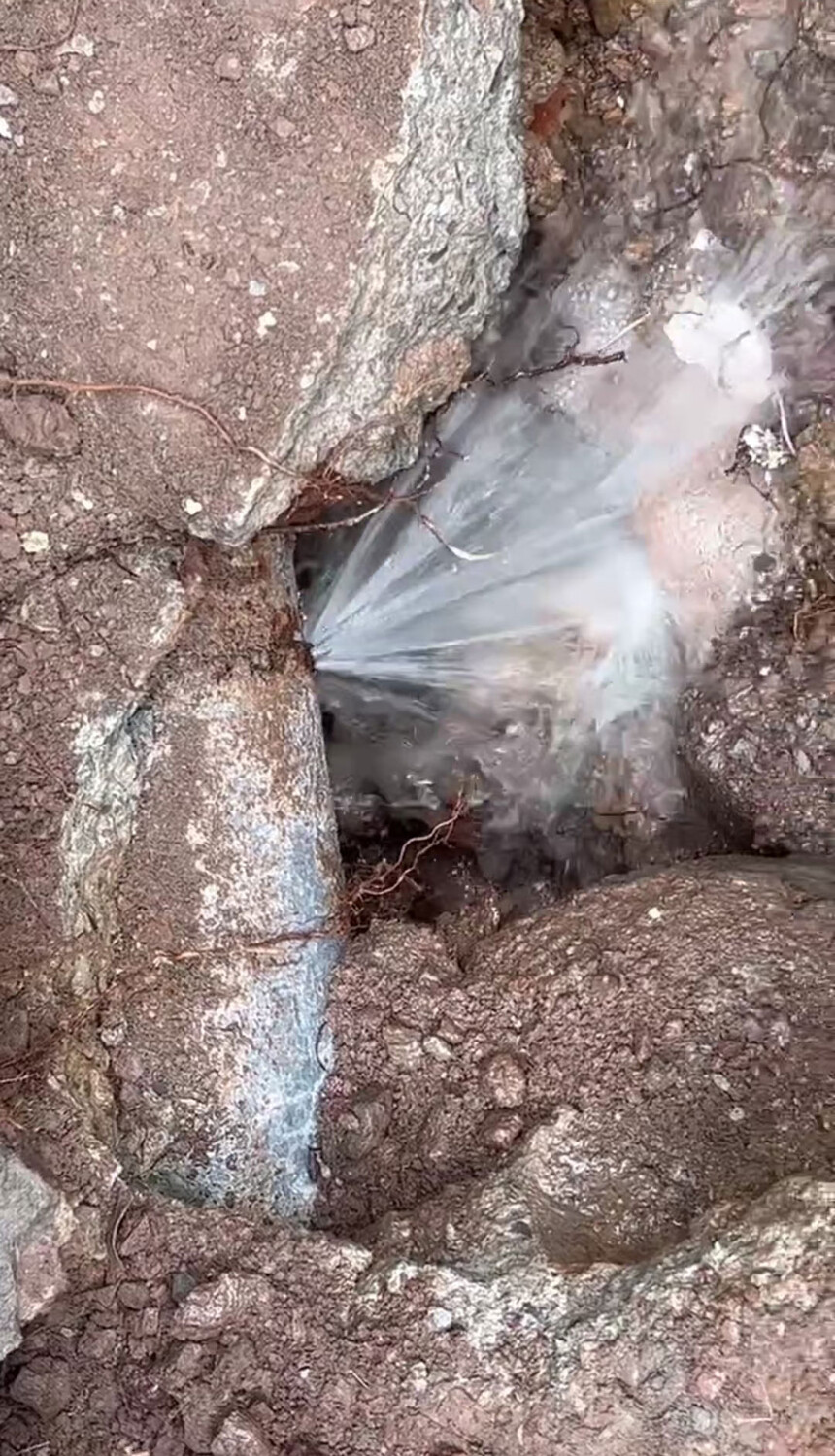 1735799373280167.jpg 1735799373280167.jpg