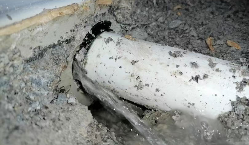 1735799664662813.jpg 卫生间漏水1.jpg