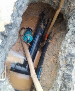 1739332738765101.png 重庆查漏2-淼听.png