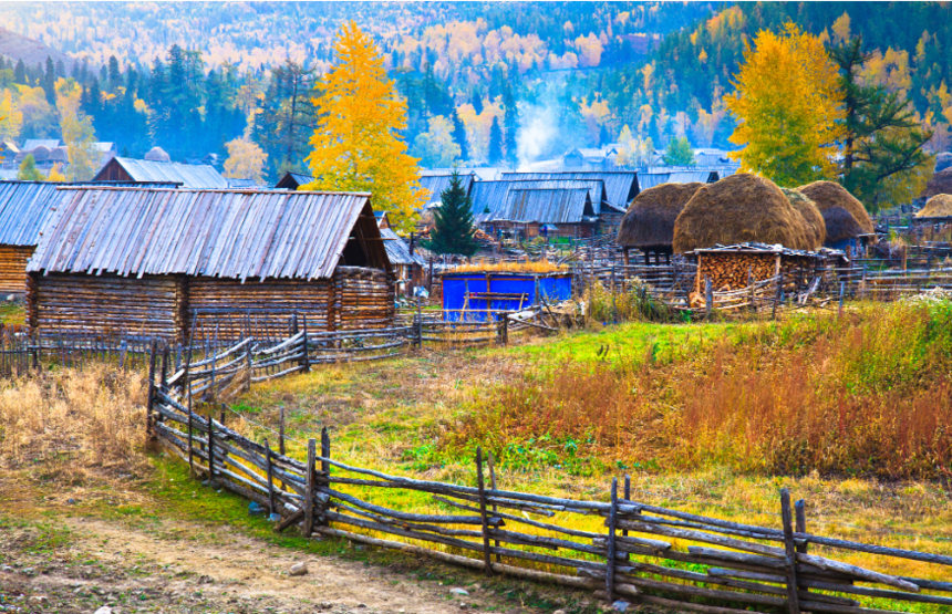 1746686139352494.png f6cff7e4a4a86ef179c58b54351af82.png