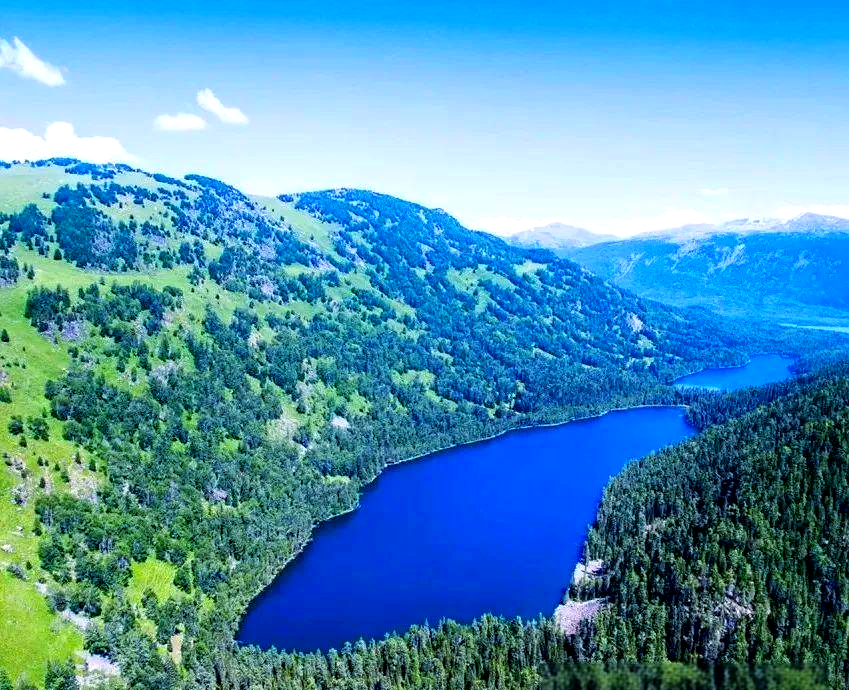 1746687110772121.png 03.png