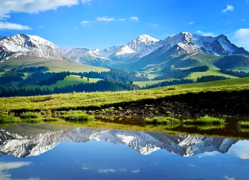 1746687656222977.png 01.png