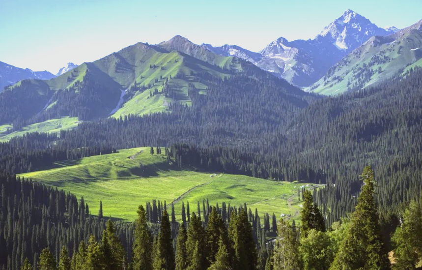 1746687680821936.png 02.png