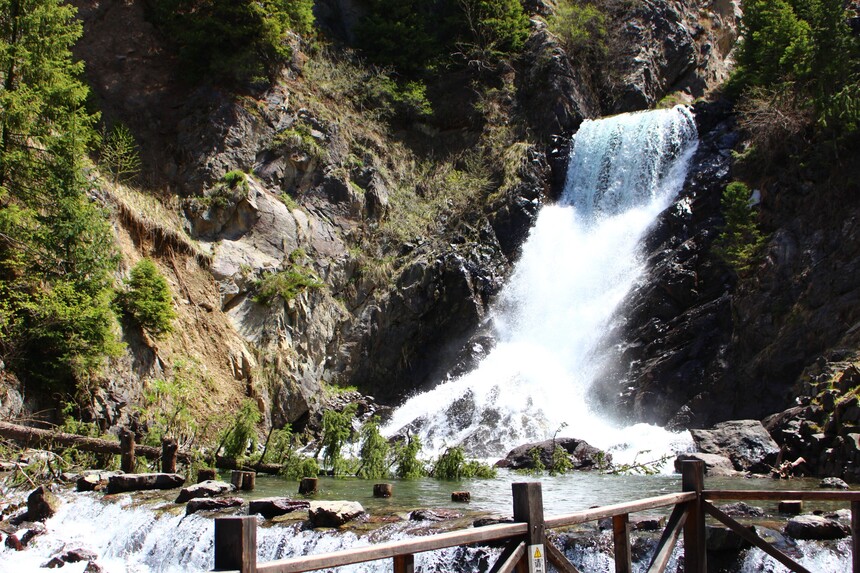 1746690037639860.jpg 01.jpg