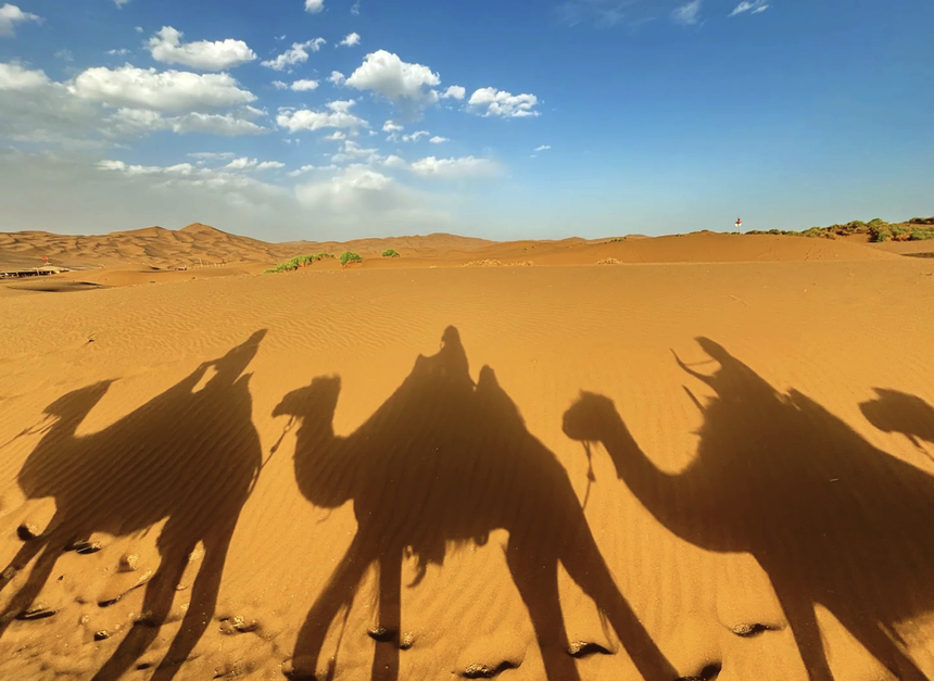 1746751994631208.png 02.png