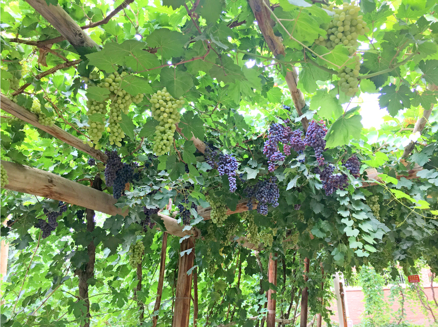 1746753057773219.png 01.png