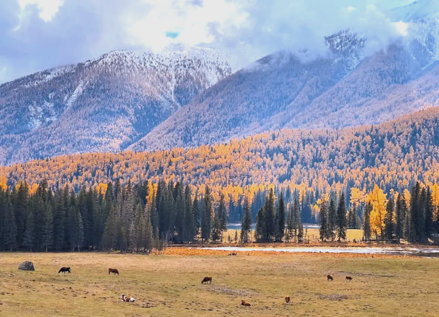 1746768761607698.png 01.png