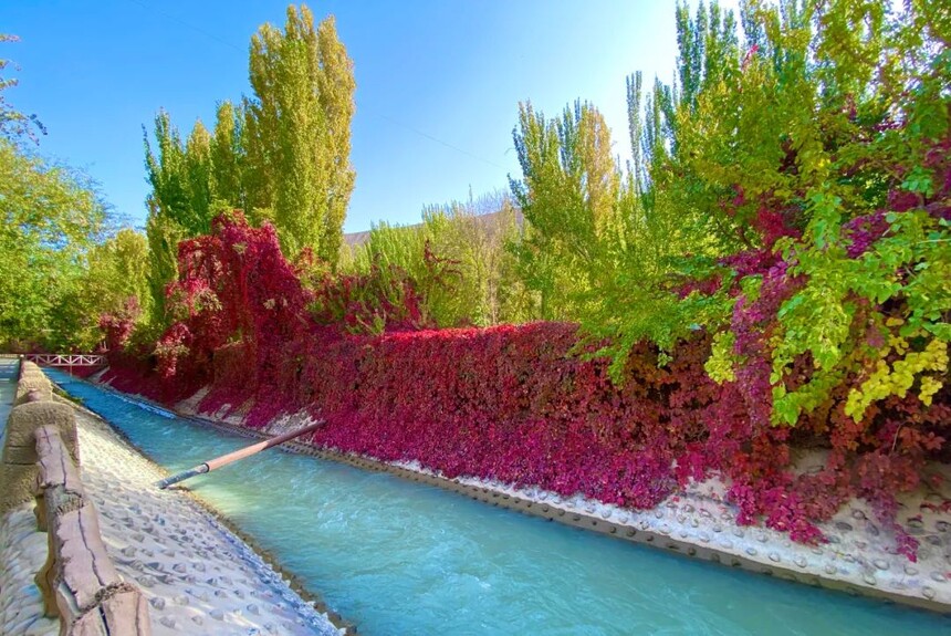 1746770504300793.jpg 01.jpg