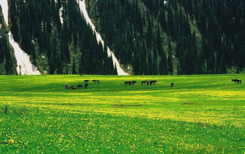 1746771954252402.png 01.png