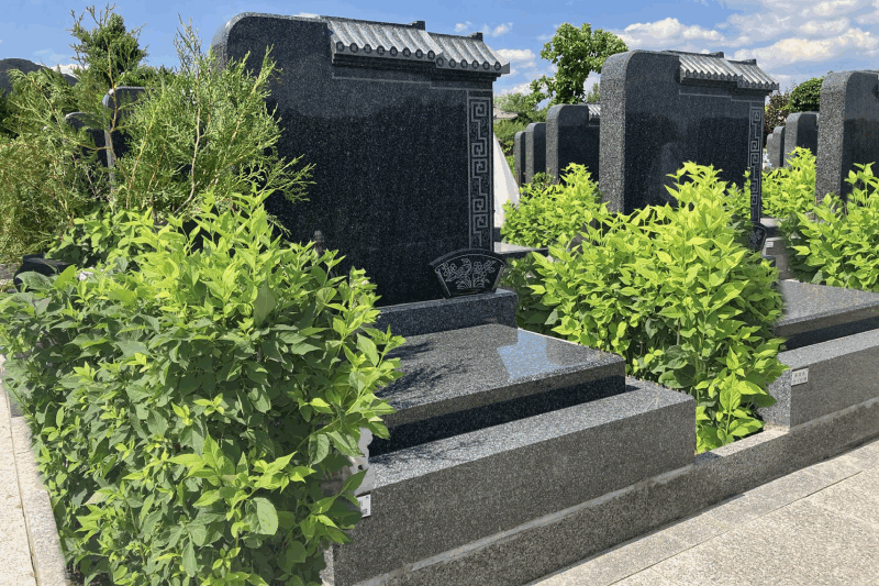 1737557145708916.png 海棠苑-文星-91800元.png