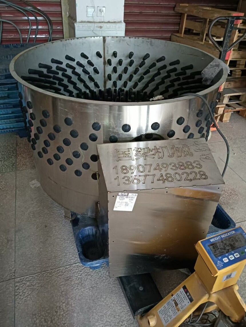 1743578986882528.jpg
