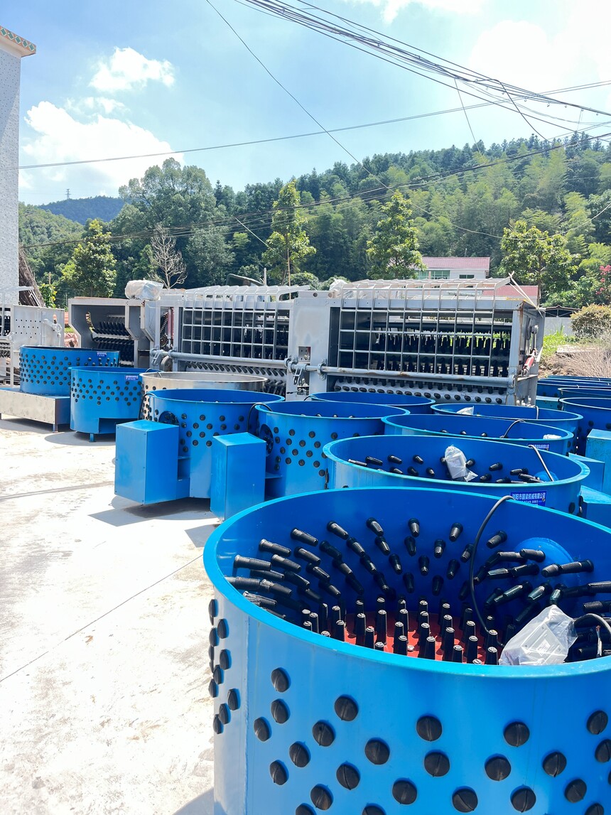 1765872587678415.jpg 1765872587678415.jpg