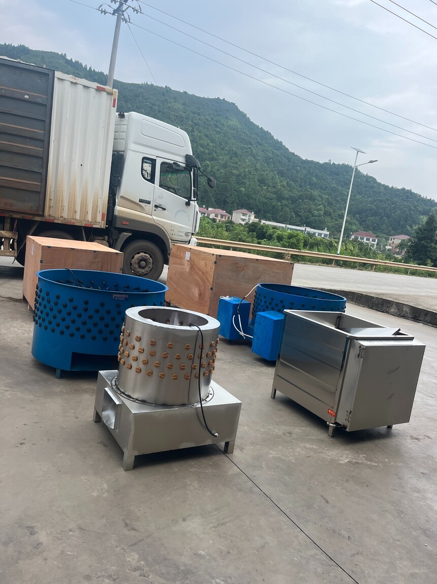 1766051403220181.jpg 1766051403220181.jpg